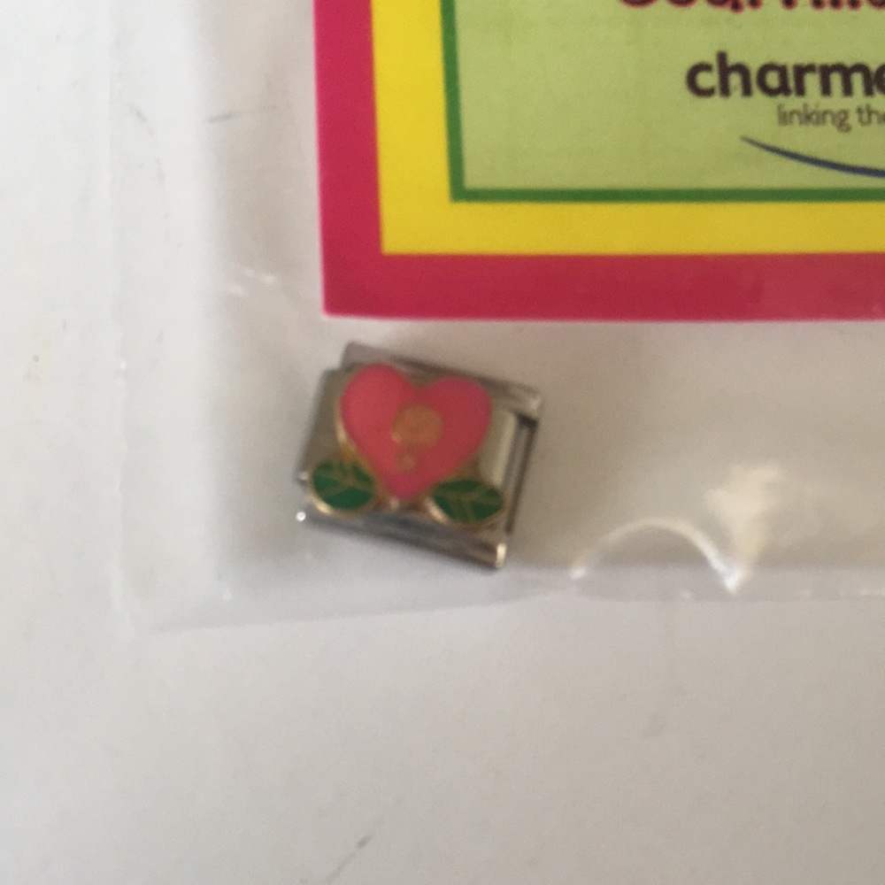 2/$10 DJ INKERS Charm segment, pink heart flower
